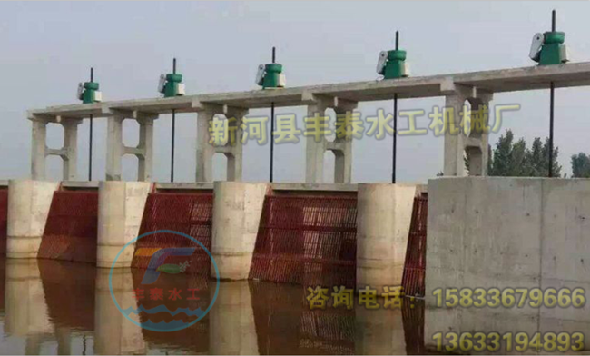 �V���T�F�l�T���ݗU���]�C���b�ꮅ