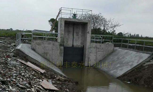 ɽ�|�����l�T